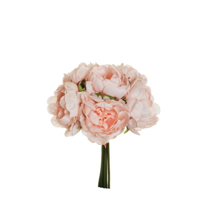 BUSH PEONY X6 PINK CREAM 29CM